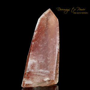 Scarlet Temple Rosetta Stone Cassiopeia Starbrary Lightning Struck Lemurian Crystal