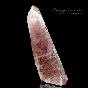 Scarlet Temple Rosetta Stone Cassiopeia Starbrary Lightning Struck Lemurian Crystal