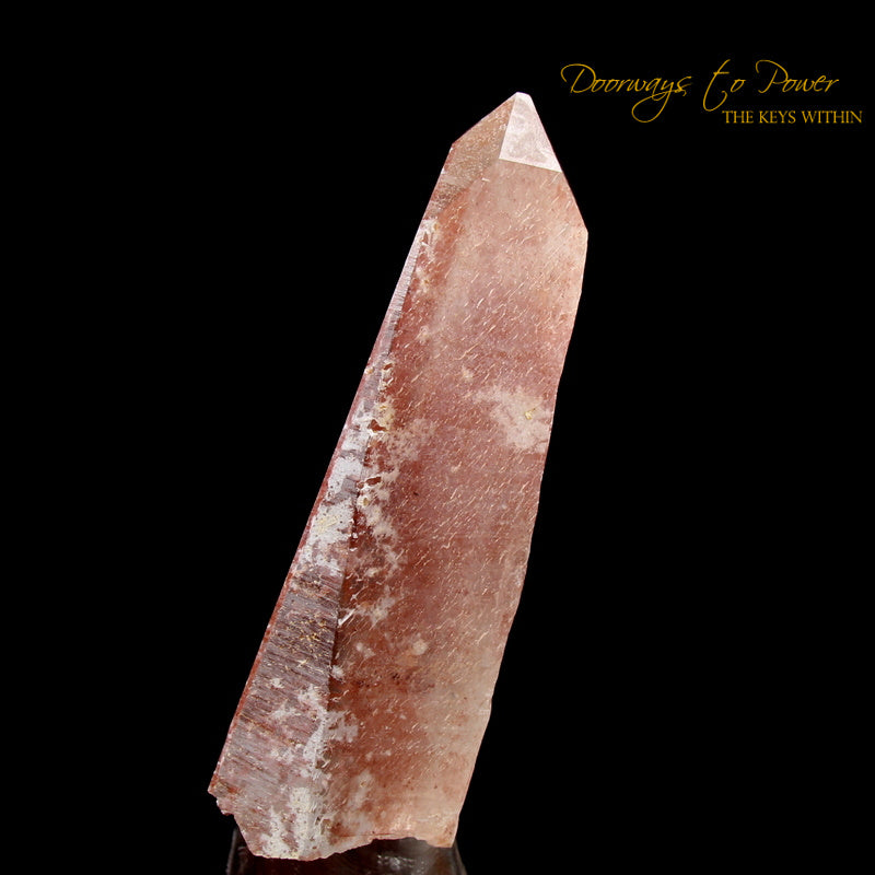 Scarlet Temple Rosetta Stone Cassiopeia Starbrary Lightning Struck Lemurian Crystal