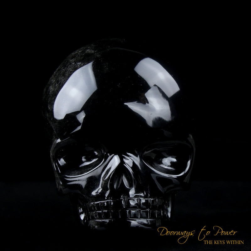 Silver Sheen Black Obsidian Magical Child Skull 'COLOSSAL DEFENDER' Leandro de Souza skulls