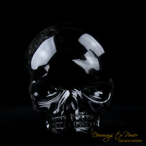Silver Sheen Black Obsidian Magical Child Skull 'COLOSSAL DEFENDER' Leandro de Souza skulls