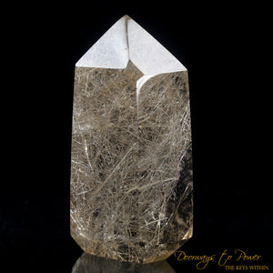 Silver Rutilated Quartz Crystal Point 'Lighted Spirit'