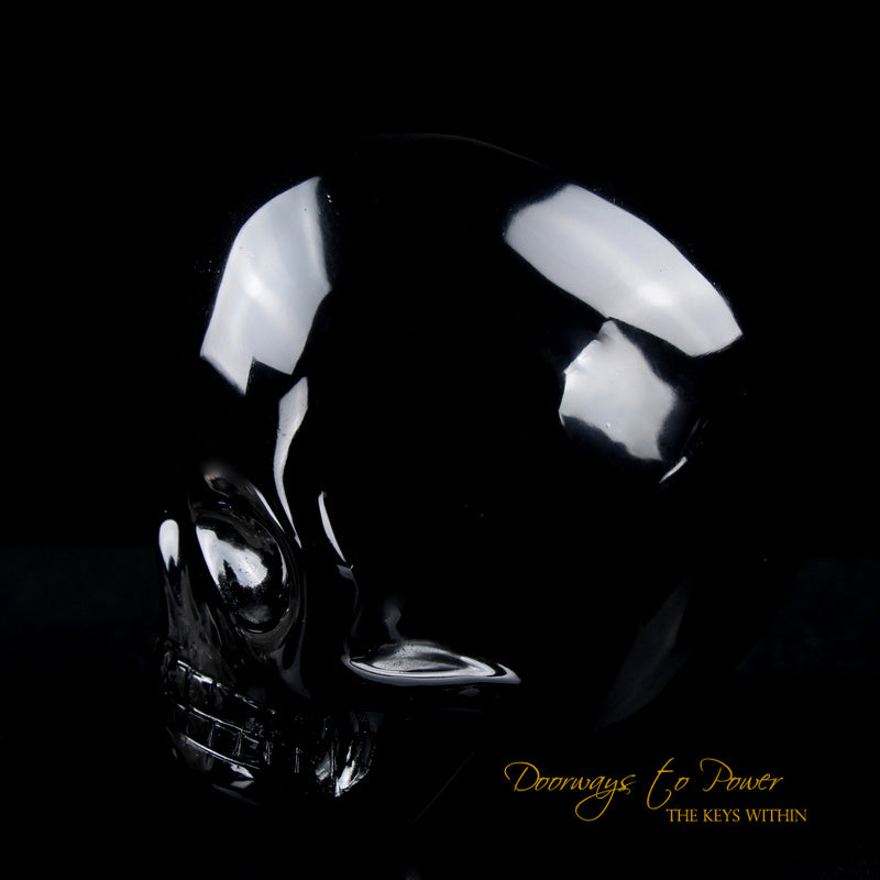 Silver Sheen Black Obsidian Magical Child Skull 'COLOSSAL DEFENDER' Leandro de Souza skulls