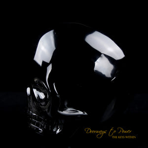 Silver Sheen Black Obsidian Magical Child Skull 'COLOSSAL DEFENDER' Leandro de Souza skulls