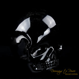 Silver Sheen Black Obsidian Magical Child Skull 'COLOSSAL DEFENDER' Leandro de Souza skulls