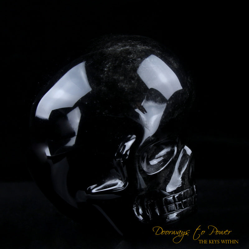 Silver Sheen Black Obsidian Magical Child Skull 'COLOSSAL DEFENDER' Leandro de Souza skulls