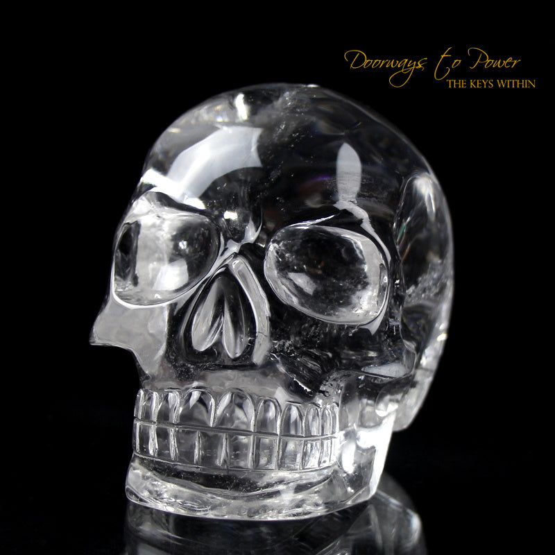 Sirius Quartz Crystal Skull Leandro De Souza