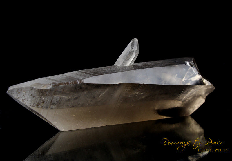 Golden Smoky Lemurian Dolphin Quartz Crystal