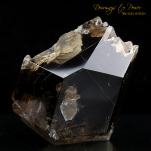 Smoky Manifestation Quartz Golden Rutile's Crystal