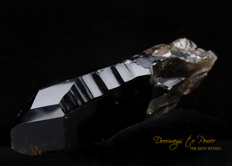 Smoky Citrine Lemurian Quartz Crystal 'Grounded In the All'