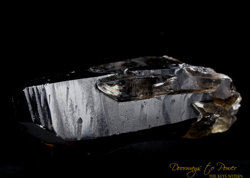 Smoky Citrine Lemurian Quartz Crystal 'Grounded In the All'