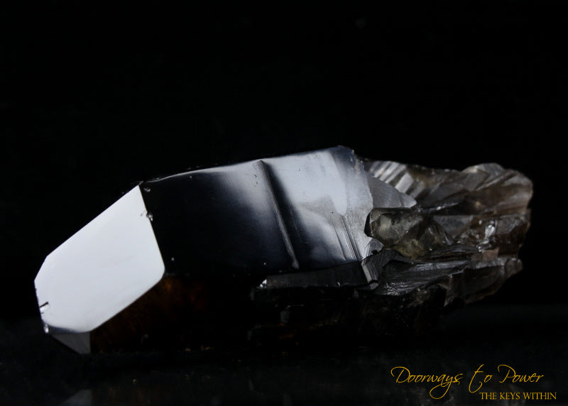 Smoky Citrine Lemurian Quartz Crystal 'Grounded In the All'