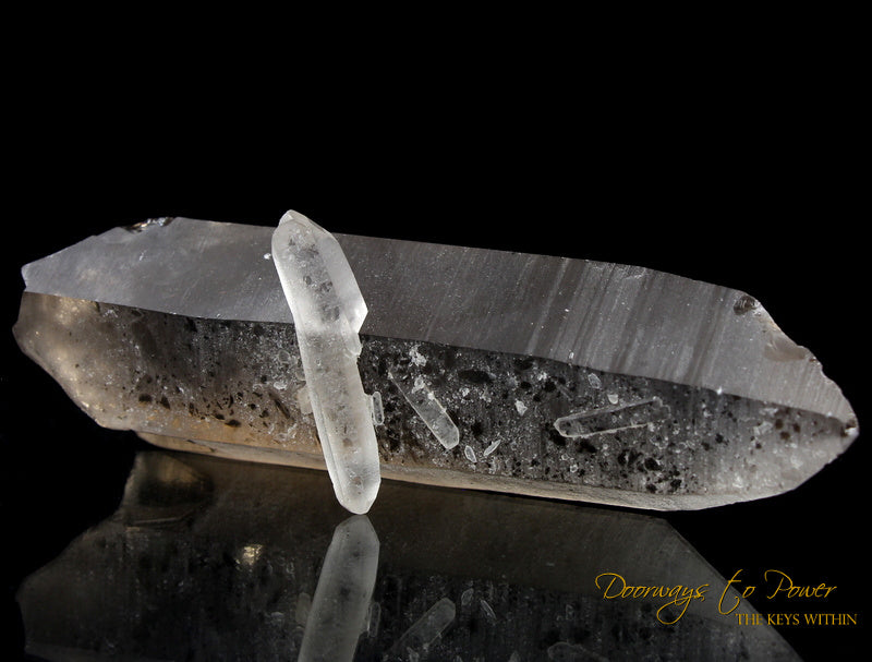 Golden Smoky Lemurian Dolphin Quartz Crystal