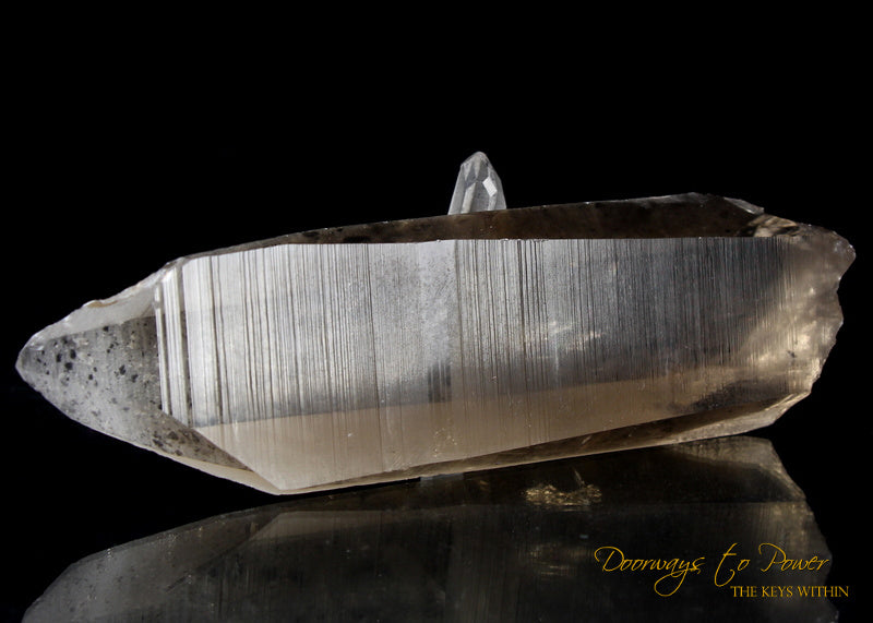 Golden Smoky Lemurian Dolphin Quartz Crystal