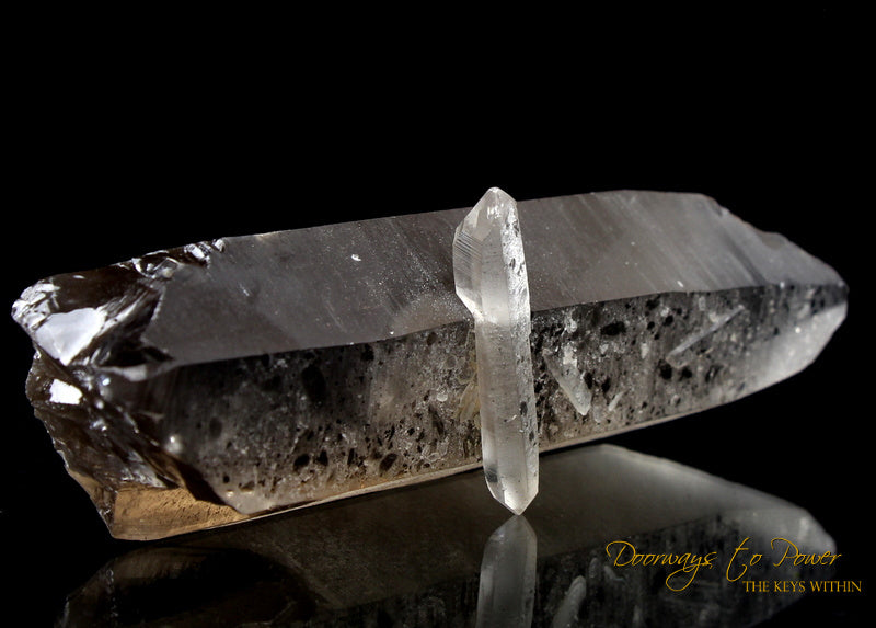 Golden Smoky Lemurian Dolphin Quartz Crystal