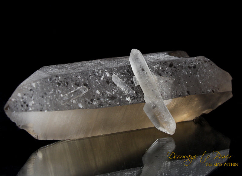 Golden Smoky Lemurian Dolphin Quartz Crystal