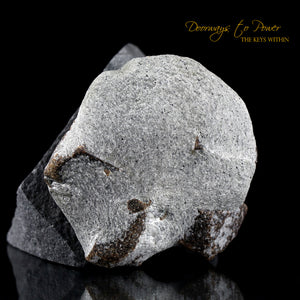 Staurolite Crystal