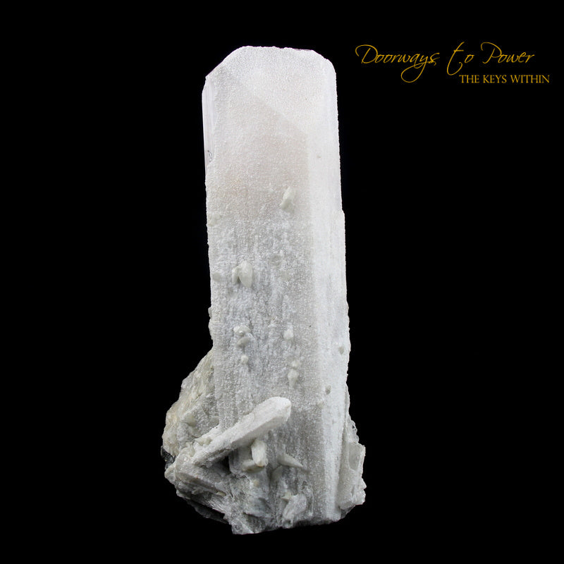 XL 8" Danburite Crystal Specimen Museum Quality