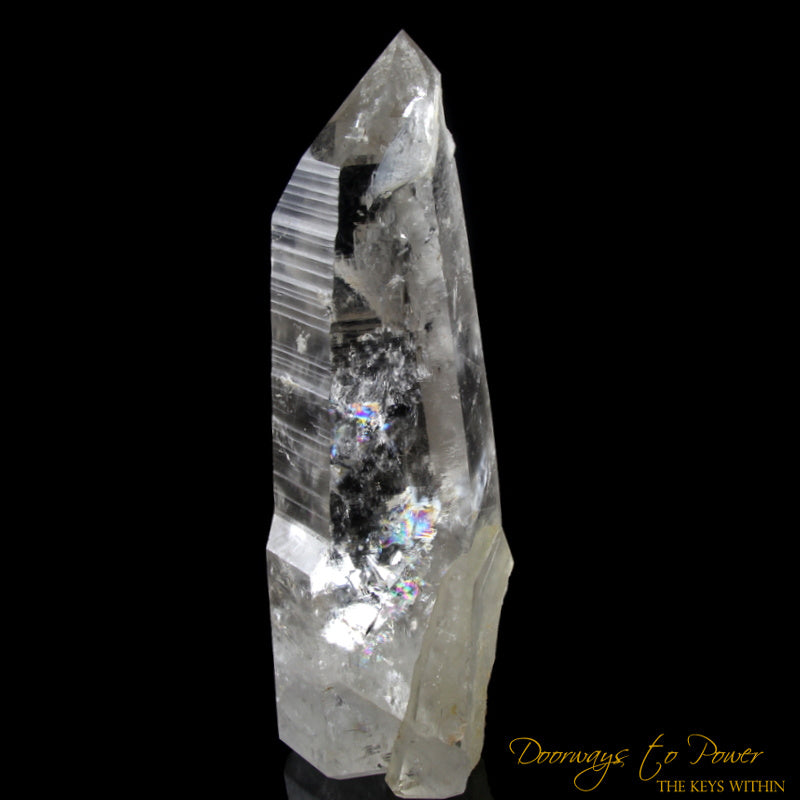 XL Rare Lemurian Seed Crystal Point 'PURE LIGHT'