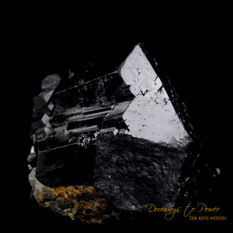 Black Tourmaline Etched Record Keeper Crystal Cannon 'Armor Grid'