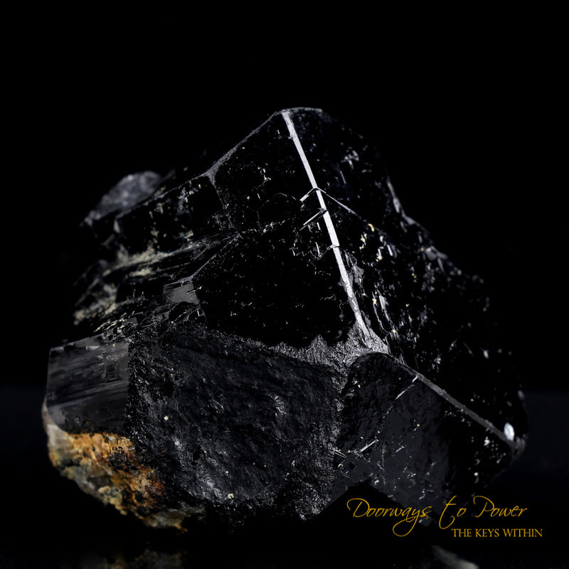 Black Tourmaline Etched Record Keeper Crystal Cannon 'Armor Grid'