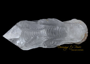 Hand Carved Lemurian Quartz Crystal Dragon 
