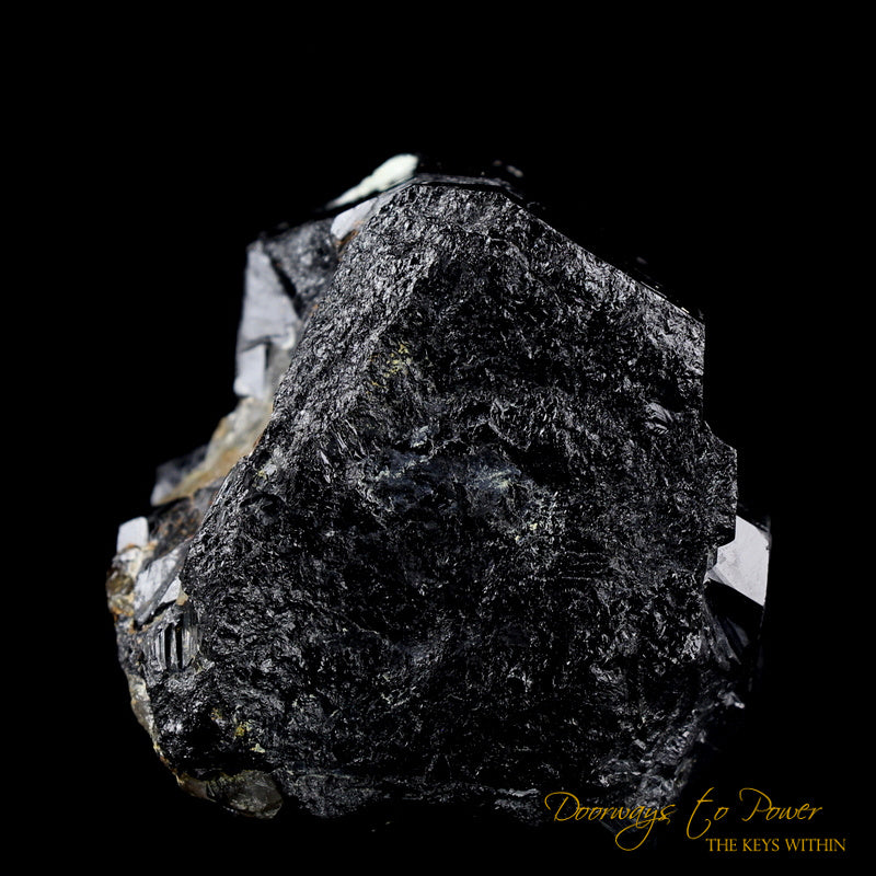 Black Tourmaline Etched Record Keeper Crystal Cannon 'Armor Grid'
