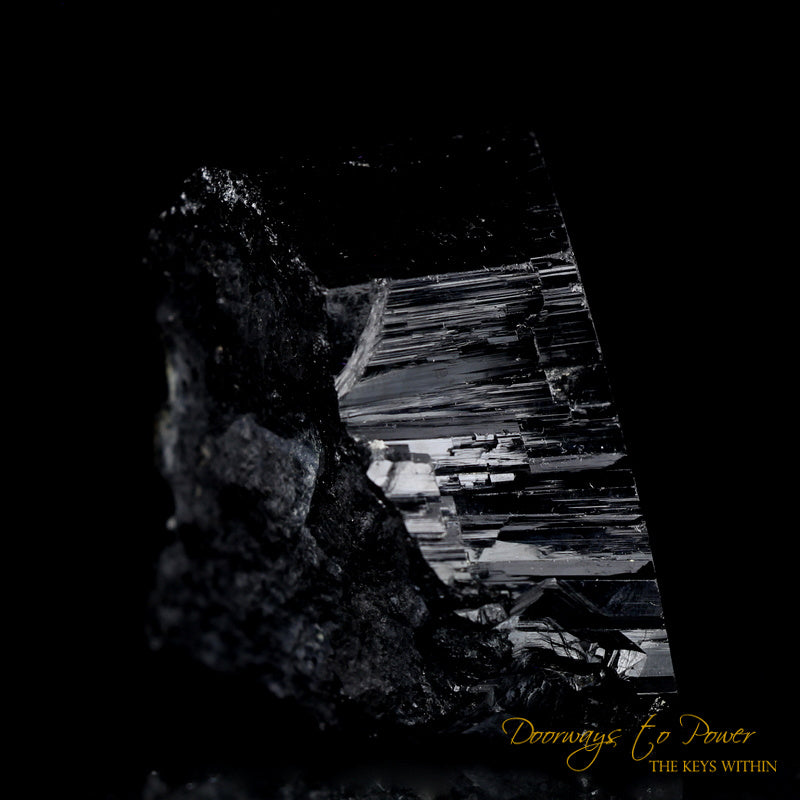 Black Tourmaline Etched Record Keeper Crystal Cannon 'Armor Grid'