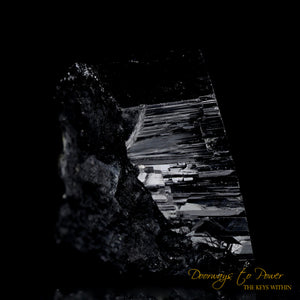 Black Tourmaline Etched Record Keeper Crystal Cannon 'Armor Grid'