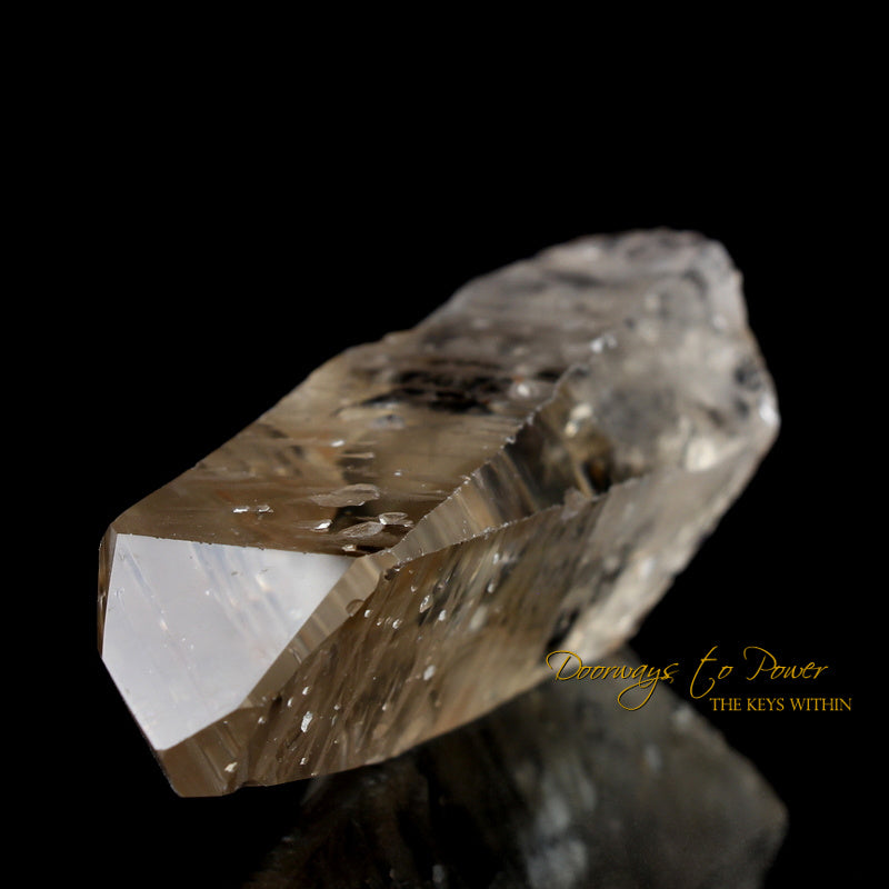 Golden Lemurian Seed Quartz Record Keeper Crystal