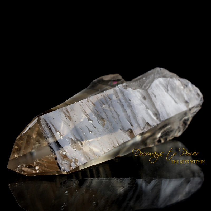 Golden Lemurian Seed Quartz Record Keeper Crystal