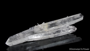Diamantina Laser Quartz DT Inner Child Pleiadian Starbrary Record Keeper Crystal Wand