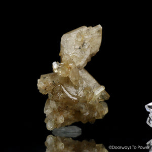 Golden Herderite Crystal Synergy 12 Stone