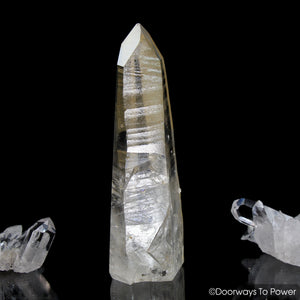 Golden Healer Lemurian Seed Pleiadian Starbrary Record Keeper Dolphin Crystal