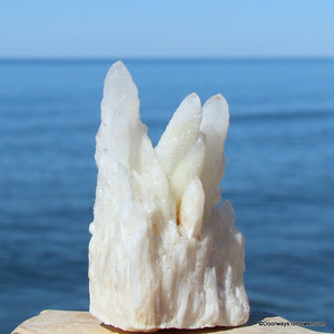 Sauralite Azeztulite Crsytal Druzy Cluster Azozeo Super Activated HGA-1