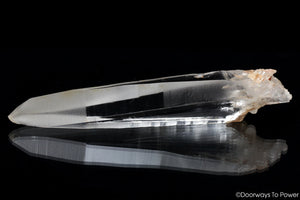 Lemurian Quartz Crystal Laser Wand with Record Keepers 