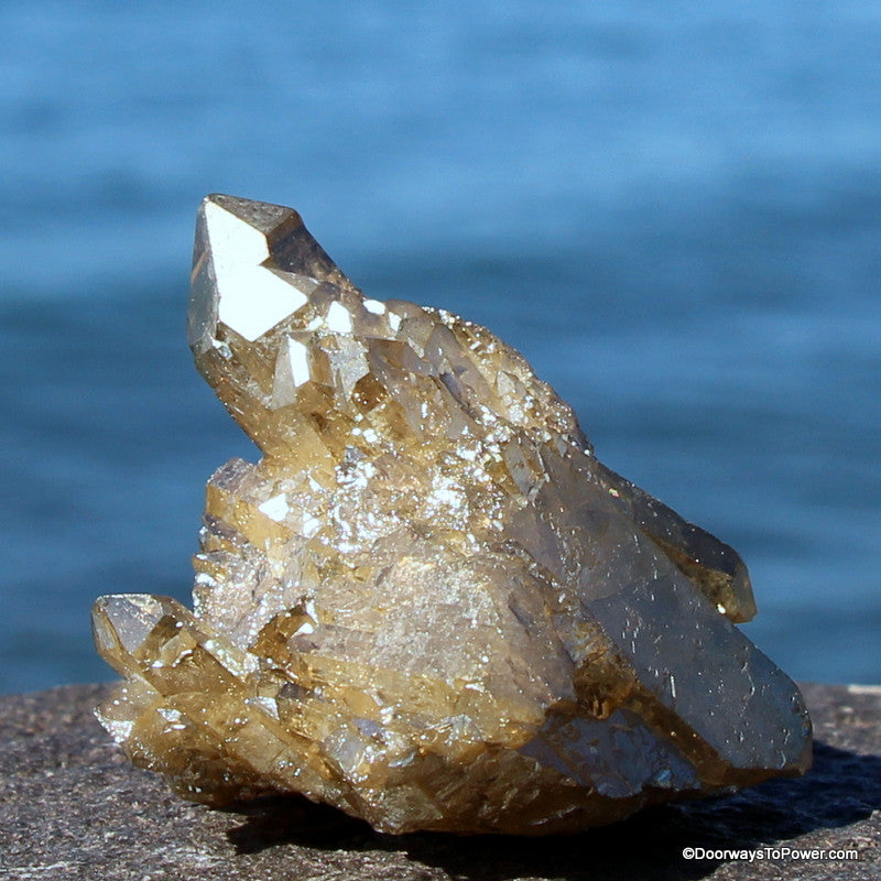 Golden Aura Quartz Crystal Record Keeper Cluster