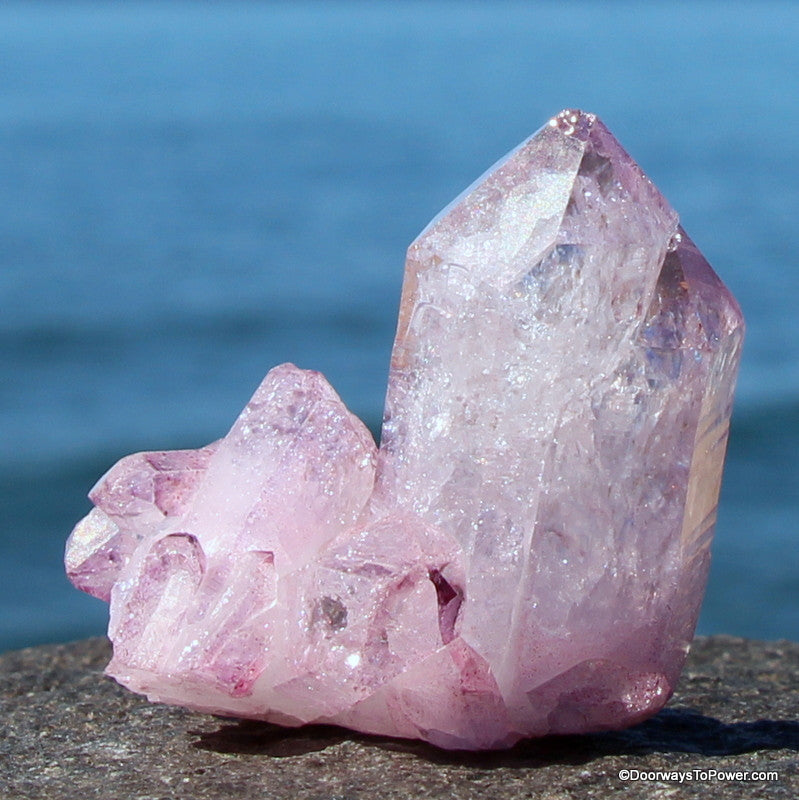 Lavender Rose Aura Lemurian Seed Cluster Peiadian Starbrary Crystal