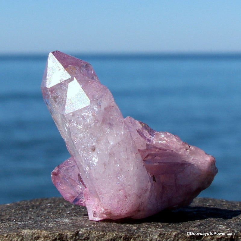 Lavender Rose Aura Lemurian Seed Cluster Peiadian Starbrary Crystal