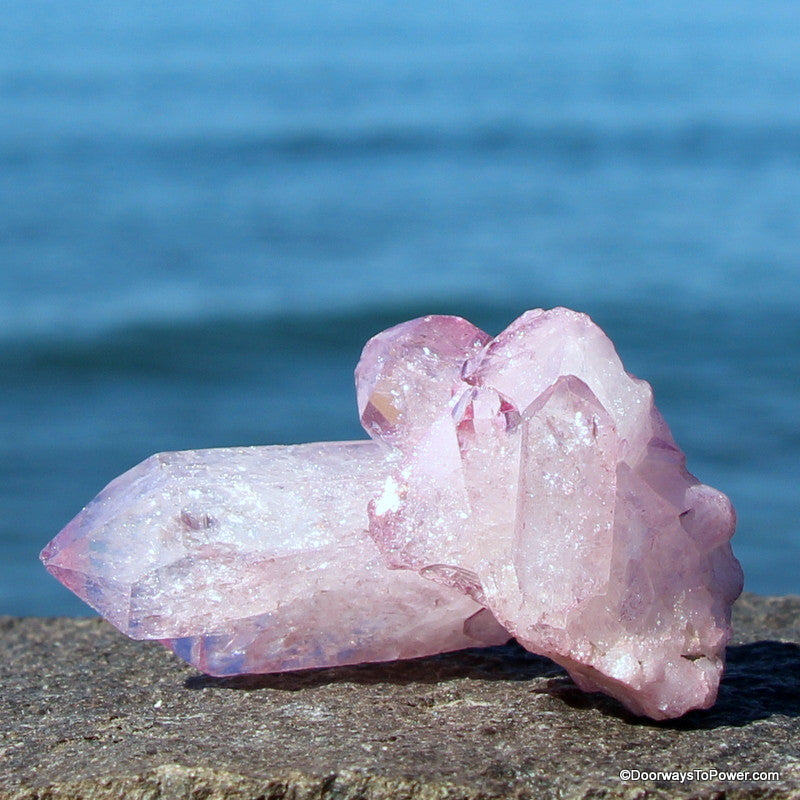 Lavender Rose Aura Lemurian Seed Cluster Peiadian Starbrary Crystal