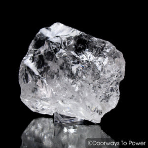 Satyaloka Azeztulite Crystal Synergy 12 Stone w/ Record Keeper + Pleiadian Starbrary