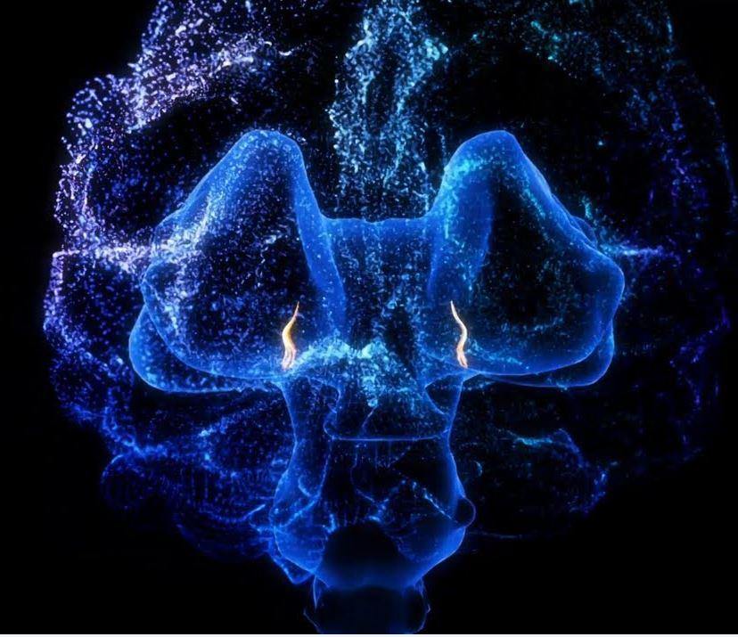 John of God 24 Sided Vogel Crystal Healing Quartz Wand