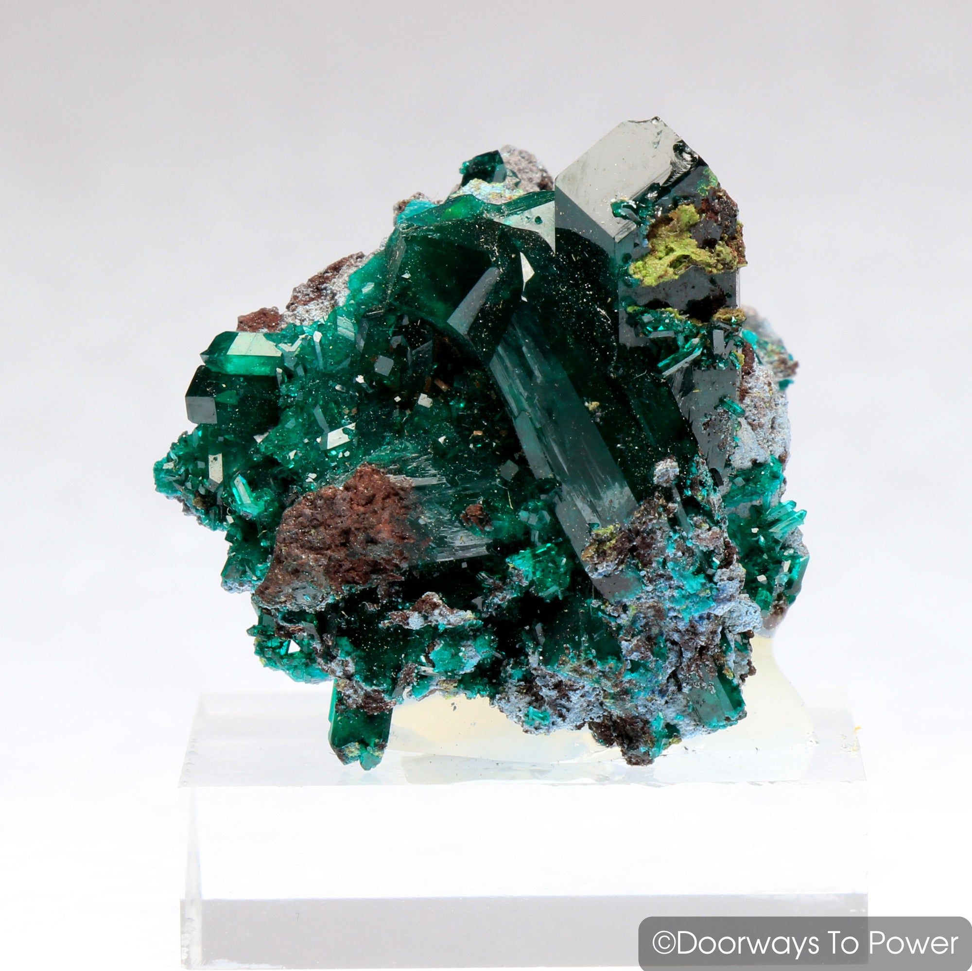 Dioptase Mineral Specimen Prosperity Crystal 'Collectors Quality'