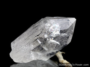 Himalayan Nirvana Quartz Crystal