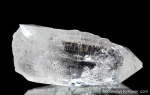 Himalayan Nirvana Quartz Crystal 'Alpha Canis' Starbary Record Keeper Rare