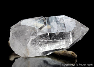 Himalayan Nirvana Quartz Crystal 'Alpha Canis' Starbary Record Keeper Rare