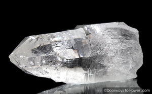 Himalayan Nirvana Quartz Crystal 'Alpha Canis' Starbary Record Keeper Rare