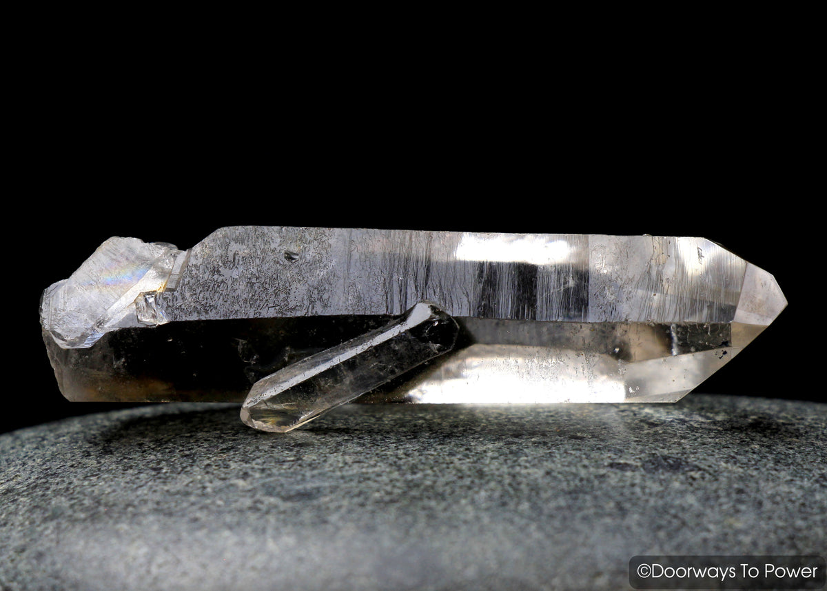 Brookite in Natural Quartz Record Keepers Dolphin Crystal Rare Synergy 12 Stone