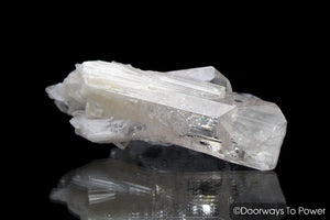 Danburite Twin Crystal & Synergy 12 Stone