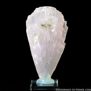 Pink Mangano Calcite 'Manifestation'  Flower Crystal Specimen